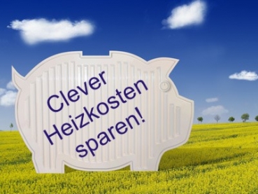 Wasserf. Kamineinsatz, Heizeinsatz 22 kW mit Schamotte