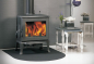 Preview: EEK A+ - Kaminofen Globe Fire JUPITER - 7 kW