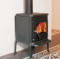 Preview: EEK A+ - Kaminofen Globe Fire SATURN - 6 kW