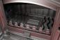 Preview: EEK A+ Gusskaminofen Plamen Tena mit 9,5kW + Herdplatte