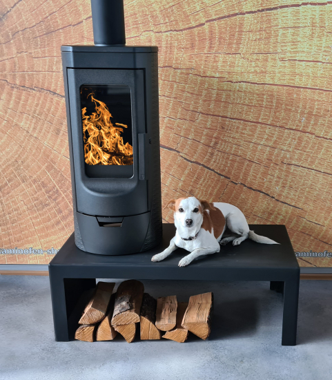 EEK A+ Design-Gusskaminofen Plamen Tara, raumluftunabhängig - 6kW