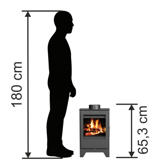 EEK A Kleiner Kaminofen Victoria Parma L schwarz, raumluftunabhängig - 5kW